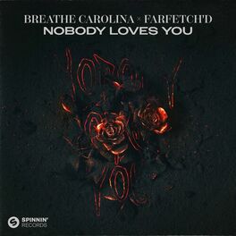 Album cover of Nobody Loves You