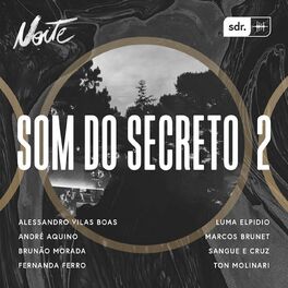 Album cover of Som Do Secreto Vol. 2: Noite