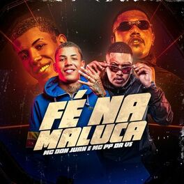 Album cover of Fé na Maluca