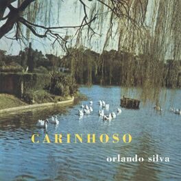 Album cover of Carinhoso