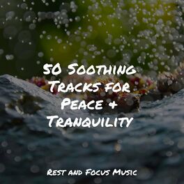 Album cover of 50 Soothing Tracks for Peace & Tranquility