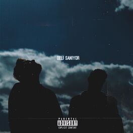 Album cover of Deli Sanıyor