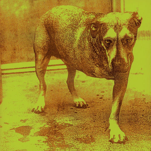Album artwork