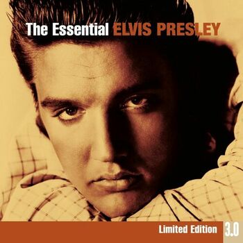 Elvis Presley T-R-O-U-B-L-E Lyrics