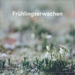 Album cover of Frühlingserwachen