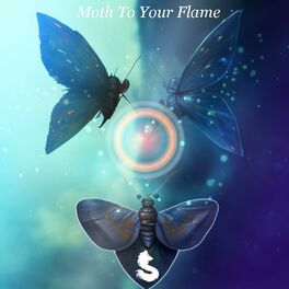 Album cover of Moth To Your Flame