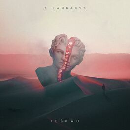 Album cover of Ieškau (feat. Niko)