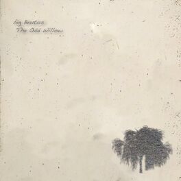 Album cover of The Odd Willow