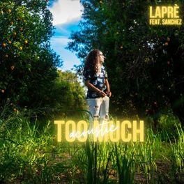 Album cover of Too Much (feat. Sanchez)