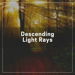 Album cover of Descending Light Rays