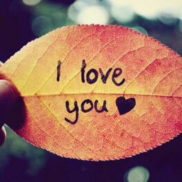 Album cover of I Love You