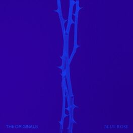 Album cover of Blue Rose