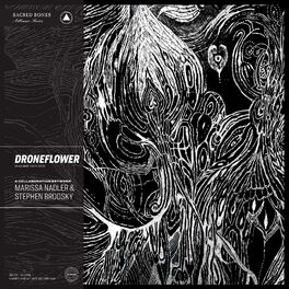 Album cover of Droneflower