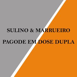 Album cover of Pagode em Dose Dupla