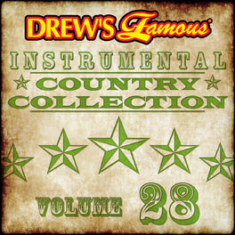 Album cover of Drew's Famous Instrumental Country Collection (Vol. 28)
