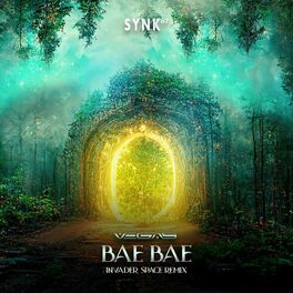 Album cover of Bae Bae (Invader Space Remix)