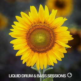 Album cover of Liquid Drum & Bass Sessions 2020 Vol 7