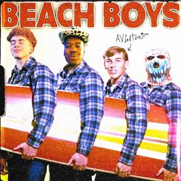 Album cover of Beach Boys