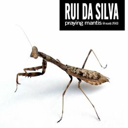 Album cover of Praying Mantis