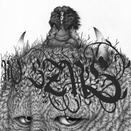 Album cover of NO SZNS