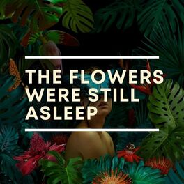 Album cover of The Flowers Were Still Asleep