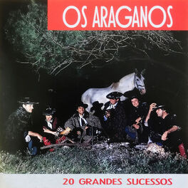 Album cover of 20 Grandes Sucessos