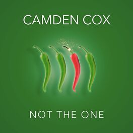 Album cover of Not The One