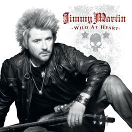 Album cover of Wild At Heart