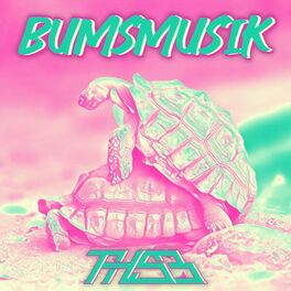 Album cover of Bumsmusik