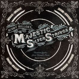 Album cover of The Majestic Silver Strings