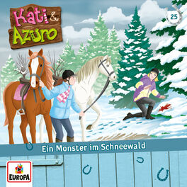 Album cover of 025/Ein Monster im Schneewald