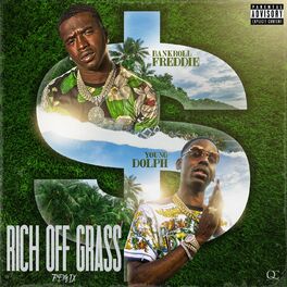 Album cover of Rich Off Grass (Remix)