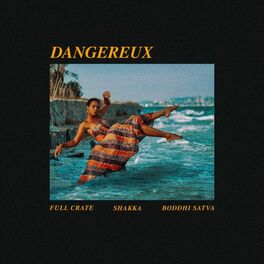 Album cover of Dangereux