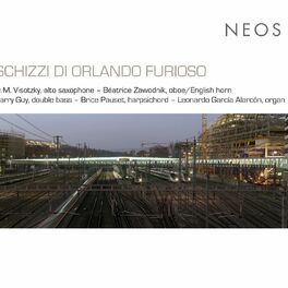 Album cover of Schizzi di Orlando furioso
