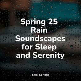 Album cover of Spring 25 Rain Soundscapes for Sleep and Serenity