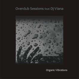 Album cover of Organic Vibrations