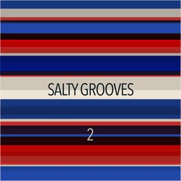 Album cover of Salty Grooves 2