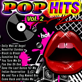 Album cover of Pop Hits Vol. 2