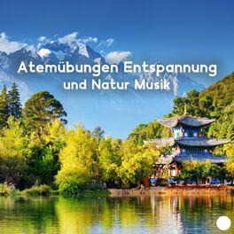 Album cover of Atemübungen Entspannung und Natur Musik: Feng Shui, Reiki Musik, Meditation zum Einschlafen