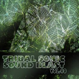 Album cover of Tribal Sonic Soundblast,Vol.40