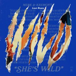 Album cover of She's Wild (Lizot Remix)