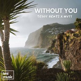 Album cover of Without You (Radio Edit)