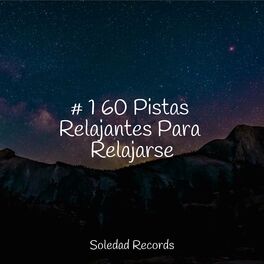 Album cover of # 1 60 Pistas Relajantes Para Relajarse