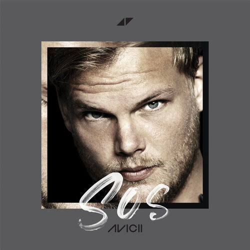 avicii discography 320