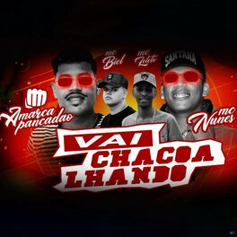 Album cover of Vai Chacoalando (Brega Funk)