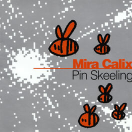 Album cover of Pin Skeeling