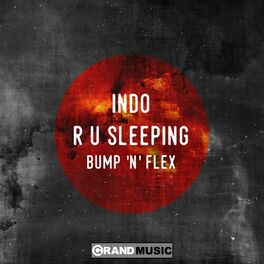 Album cover of R U Sleeping - Bump 'N' Flex