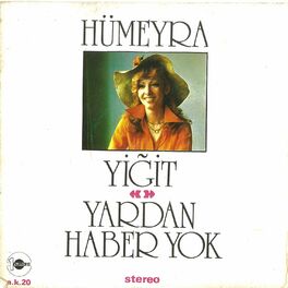 Album cover of Yiğit / Yardan Haber Yok
