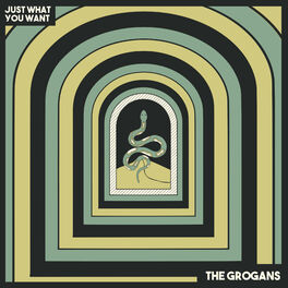 Album cover of Just What You Want