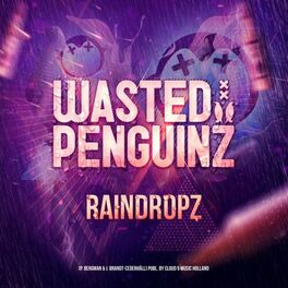 Album cover of Raindropz